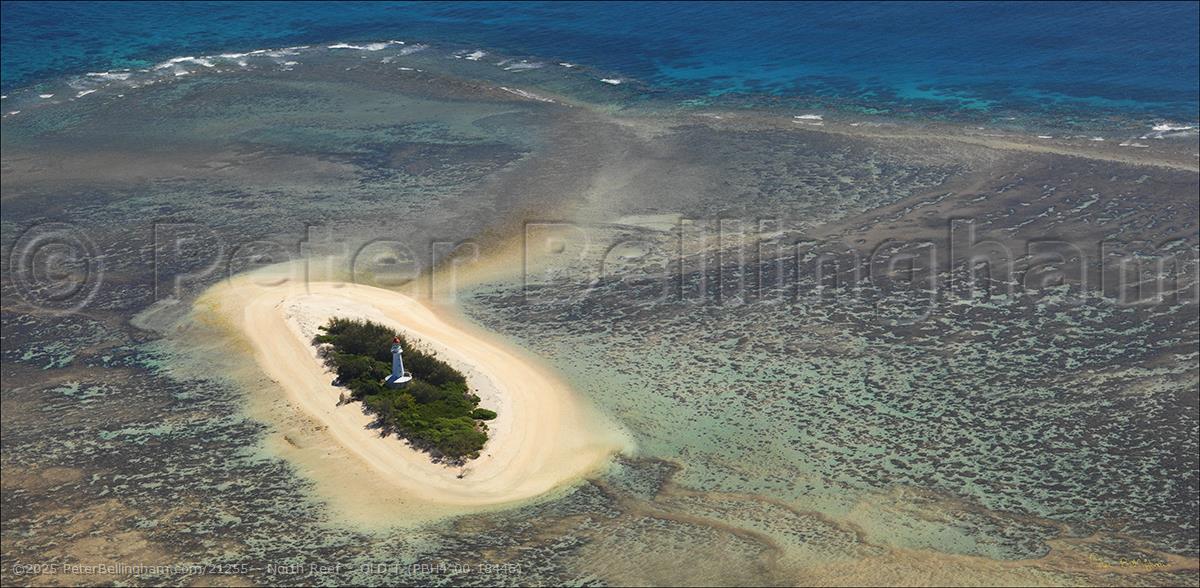 Peter Bellingham Photography North Reef - QLD T (PBH4 00 18446)